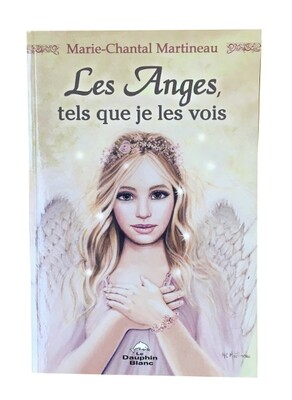 Les Anges, tels que je les vois - Livre