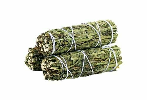 Bâton purificateur Rue (Arruda) - 10 cm