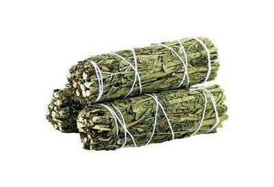 Bâton purificateur Rue (Arruda) - 10 cm