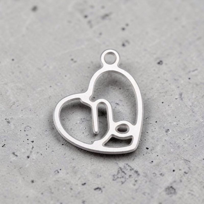 Pendentif acier inoxydable signe Capricorne