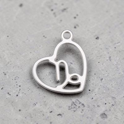 Pendentif acier inoxydable signe Capricorne
