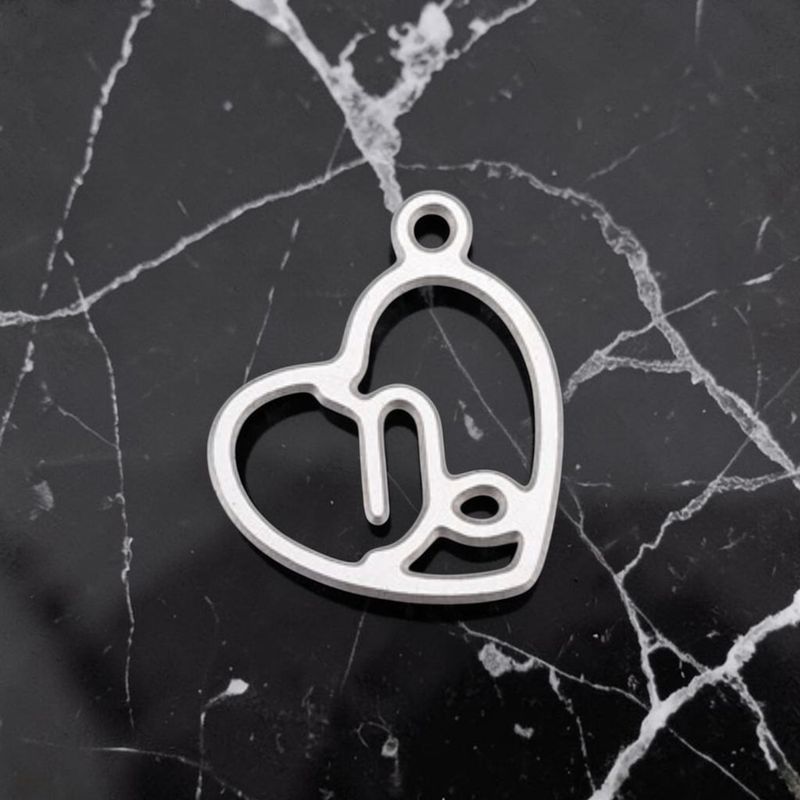 Pendentif acier inoxydable signe Capricorne