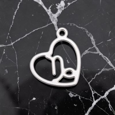 Pendentif acier inoxydable signe Capricorne