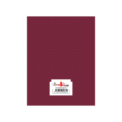 Mon petit livre du Pendule