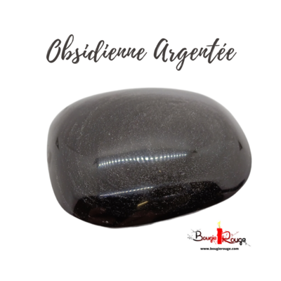 Grand Galet d'Obsidienne argentée