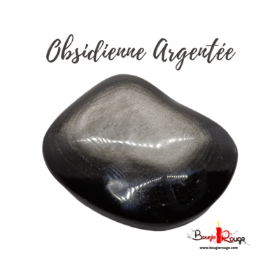Grand Galet d'Obsidienne argentée