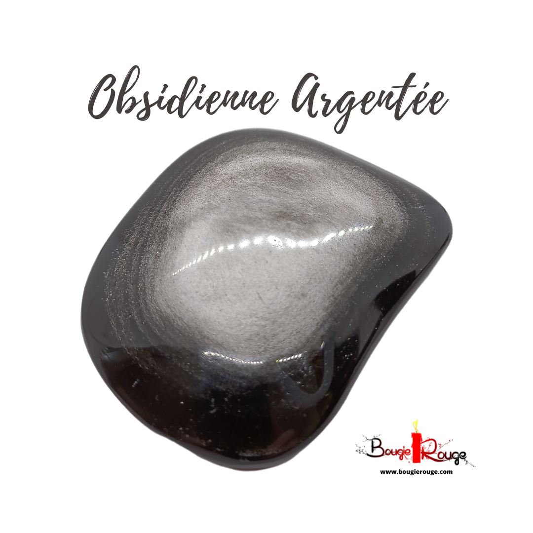 Grand Galet d'Obsidienne argentée