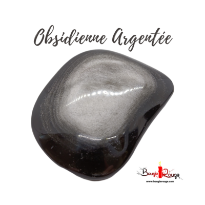 Grand Galet d'Obsidienne argentée