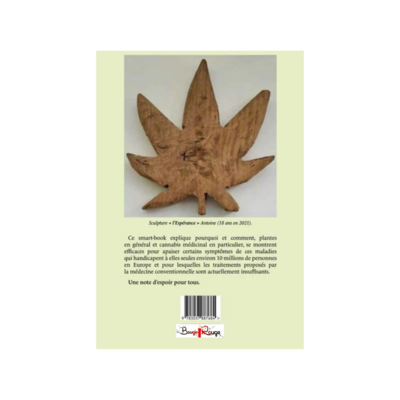 Des plantes au cannabis médicinal