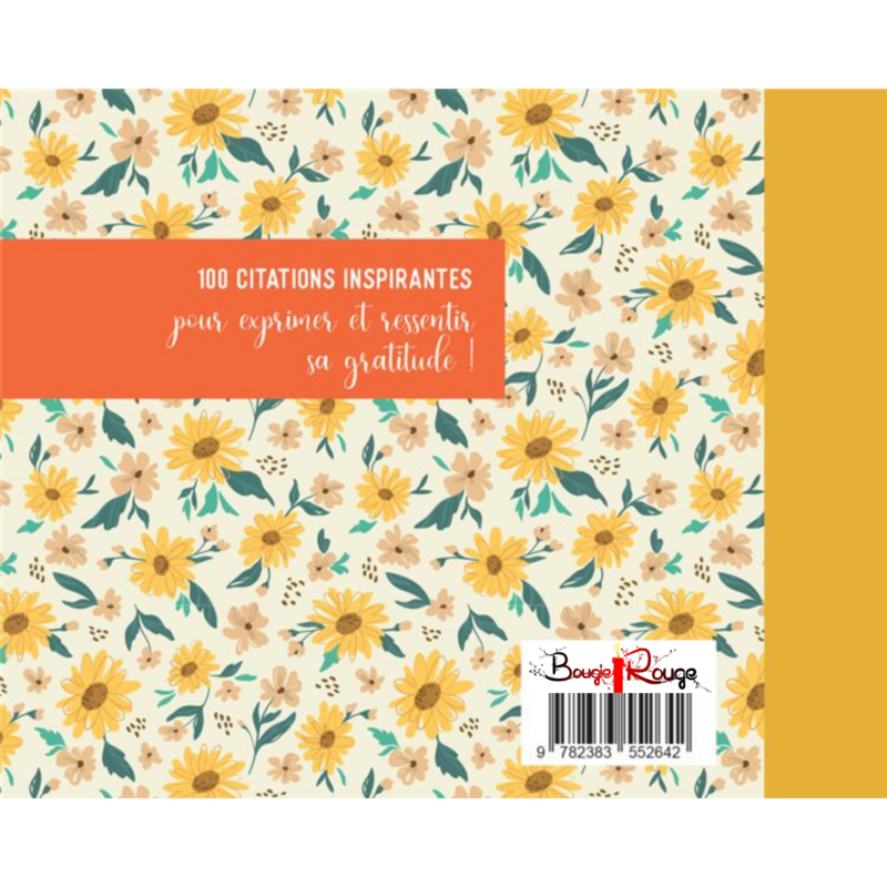 Petites phrases magiques pour dire merci