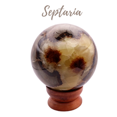 Sphère de Septaria - 542gr Sphère de Septaria - 542gr