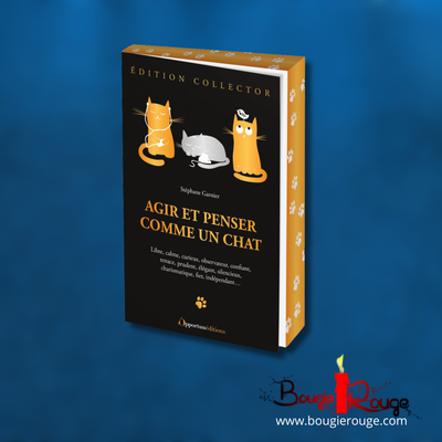 Agir et penser comme un chat