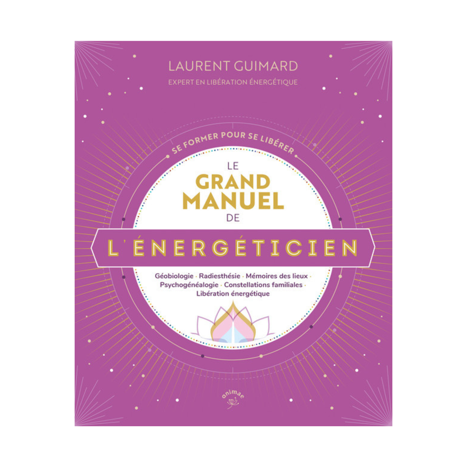 Le grand manuel de l'énergéticien