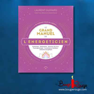 Le grand manuel de l'énergéticien