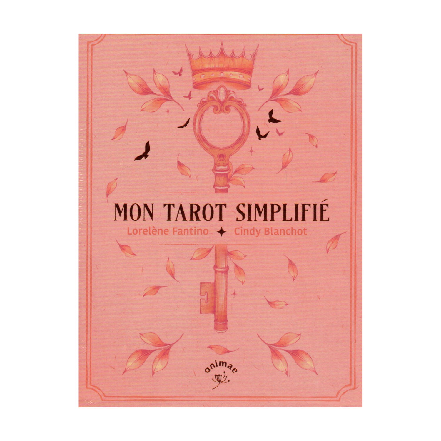 Mon tarot simplifié
