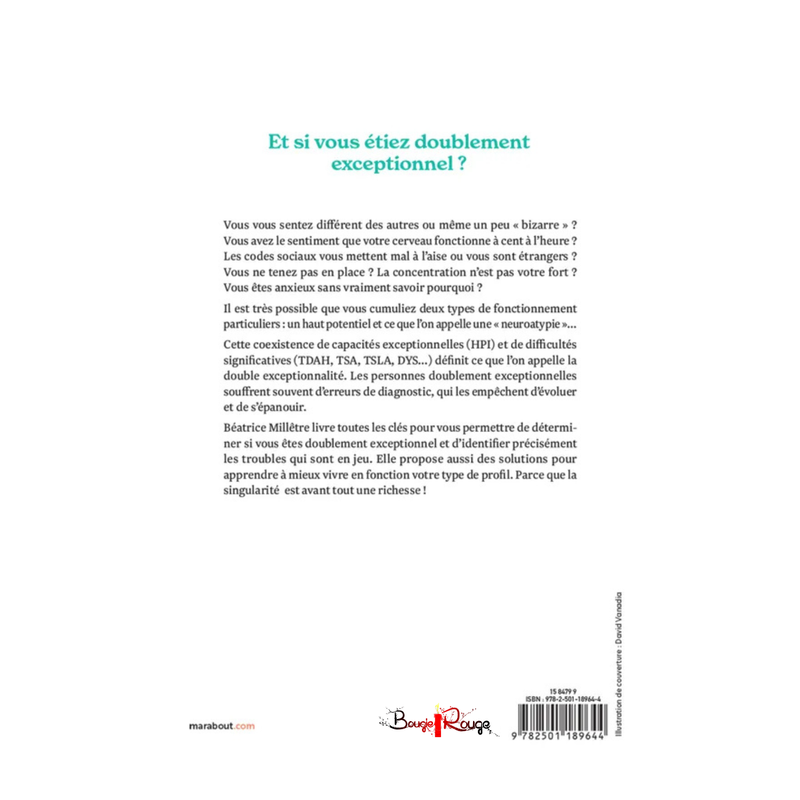 Doublement exceptionnel