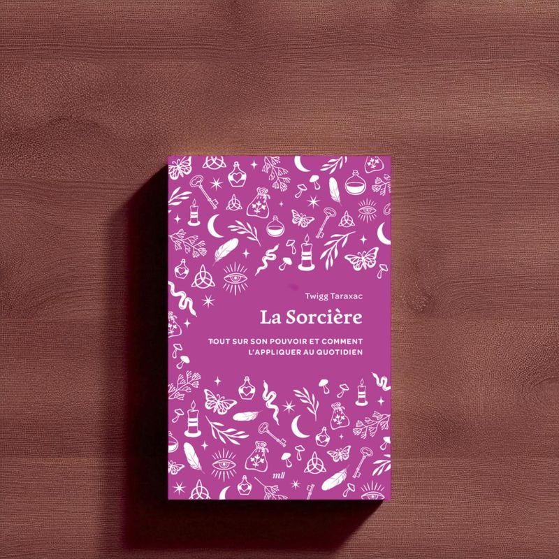 La sorcière La sorcière - Livre - Twigg Taraxac