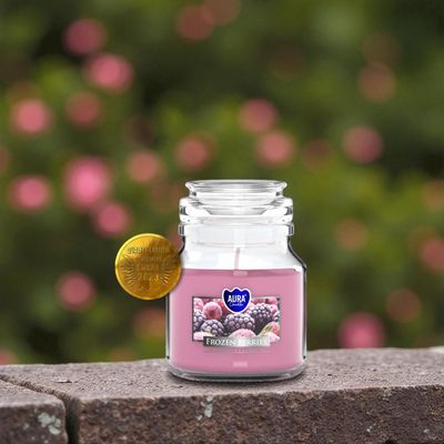 Bougie Parfumée Frozen Berries – Aura Candles - 28h