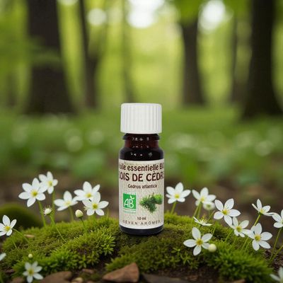 Huile essentielle Bio de Bois de cèdre - 10ml - Céven Arômes
