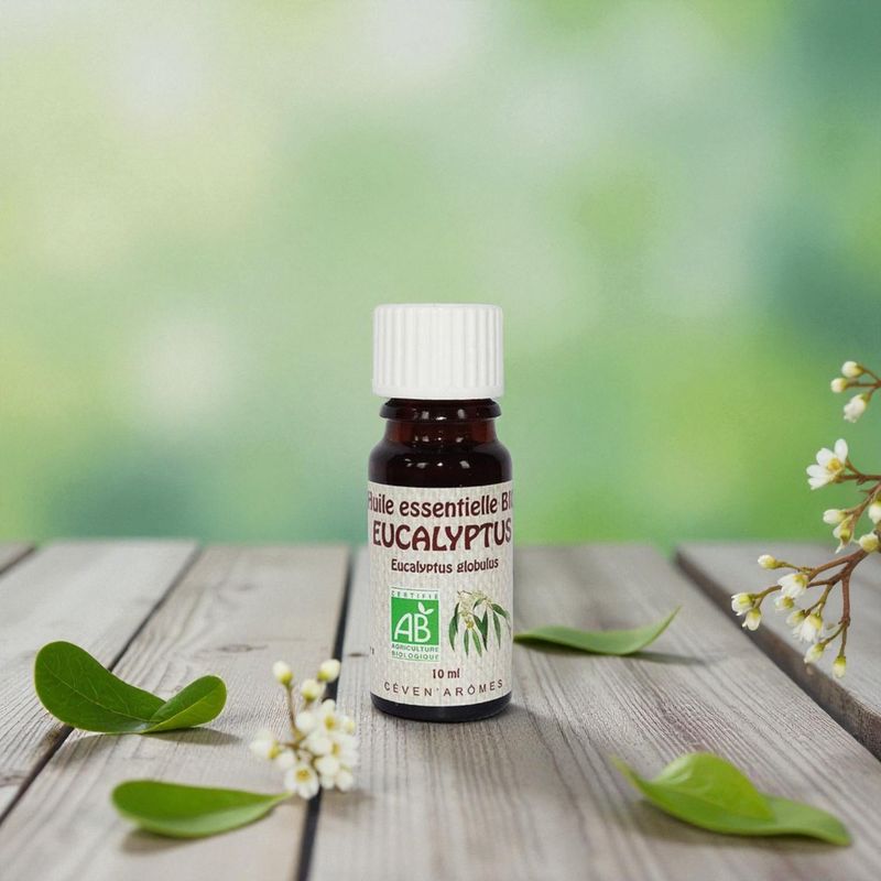 Huile essentielle Bio Eucalyptus Globuleux - 10ml - Céven Arômes