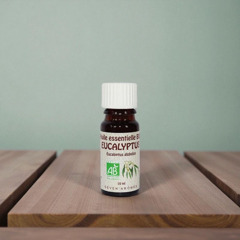 Huile essentielle Bio Eucalyptus Globuleux - 10ml - Céven Arômes