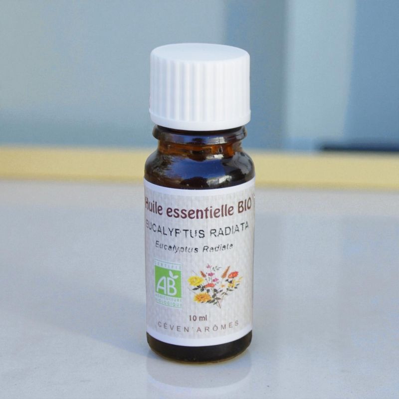 Huile essentielle Bio Eucalyptus Radiata - 10ml - Céven Arômes