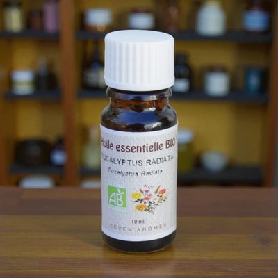 Huile essentielle Bio Eucalyptus Radiata - 10ml - Céven Arômes