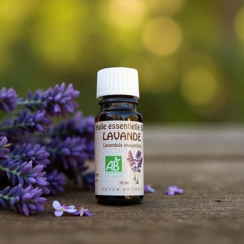 Huile essentielle Bio Lavande - 10ml - Céven Arômes