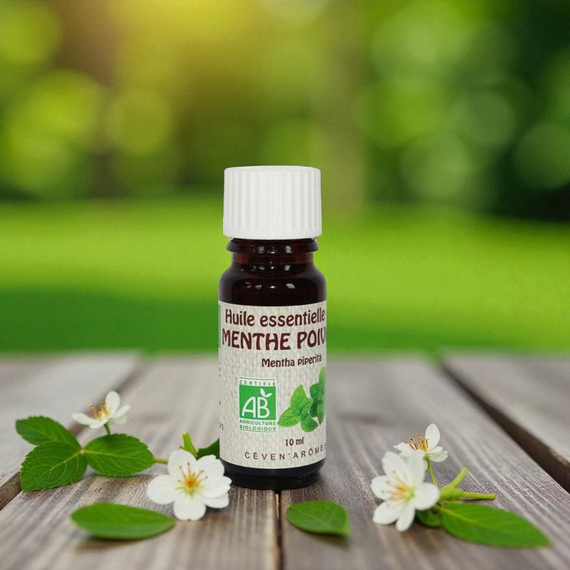 Huile essentielle Bio Menthe Poivrée - 10ml - Céven Arômes