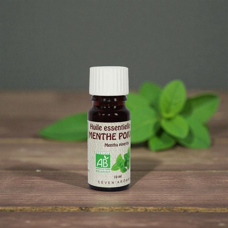 Huile essentielle Bio Menthe Poivrée - 10ml - Céven Arômes