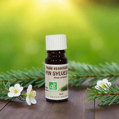 Huile essentielle Bio Pin Sylvestre - 10ml - Céven Arômes