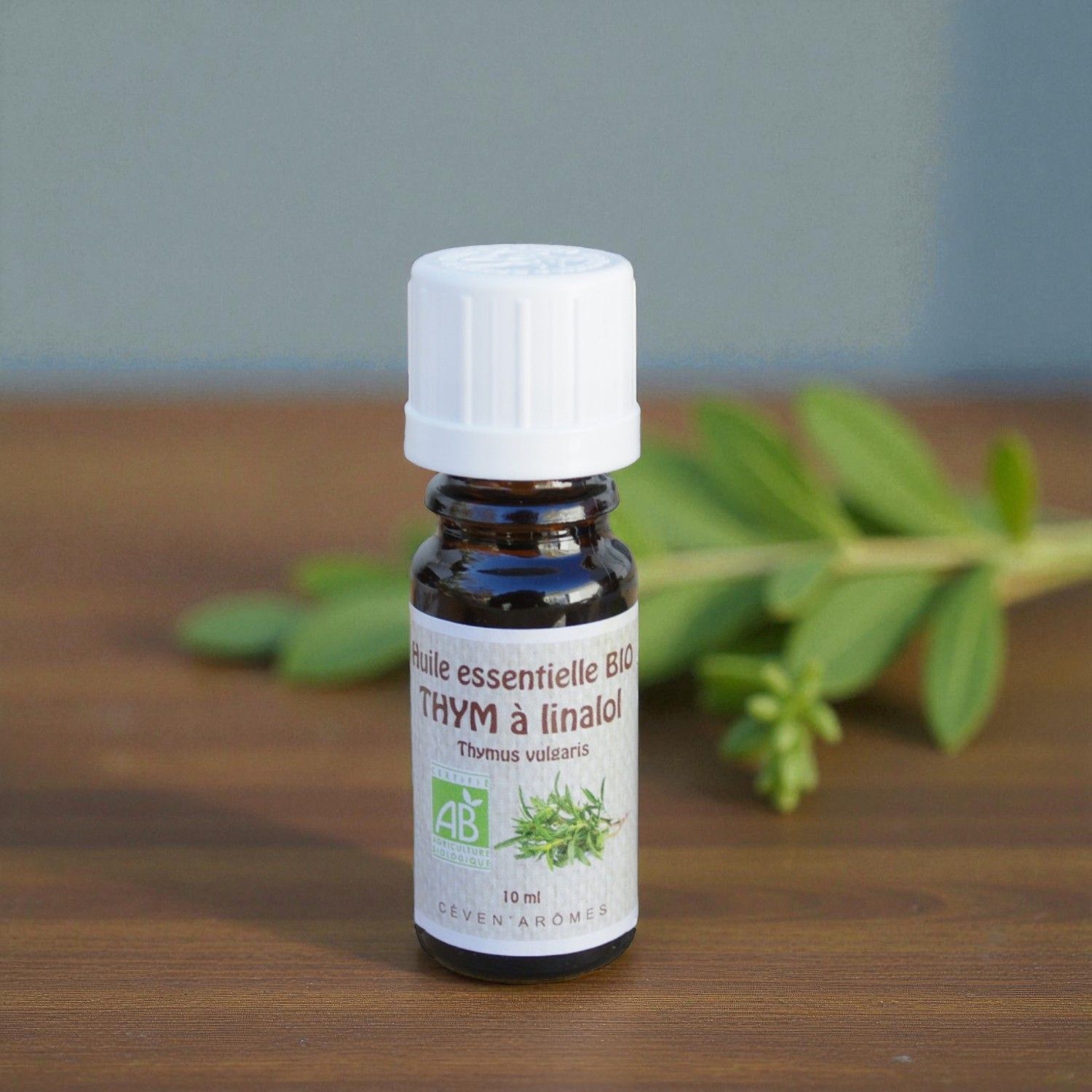 Huile essentielle Bio Thym à linalol - 10ml - Céven Arômes