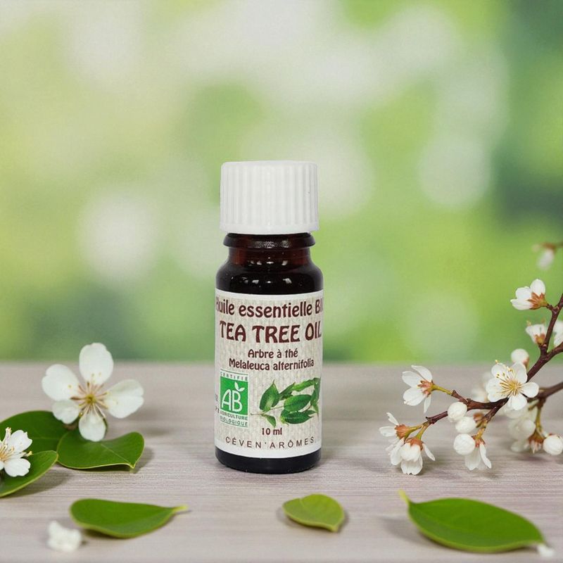 Huile essentiel Bio Tea Tree - 10ml - Céven Arômes