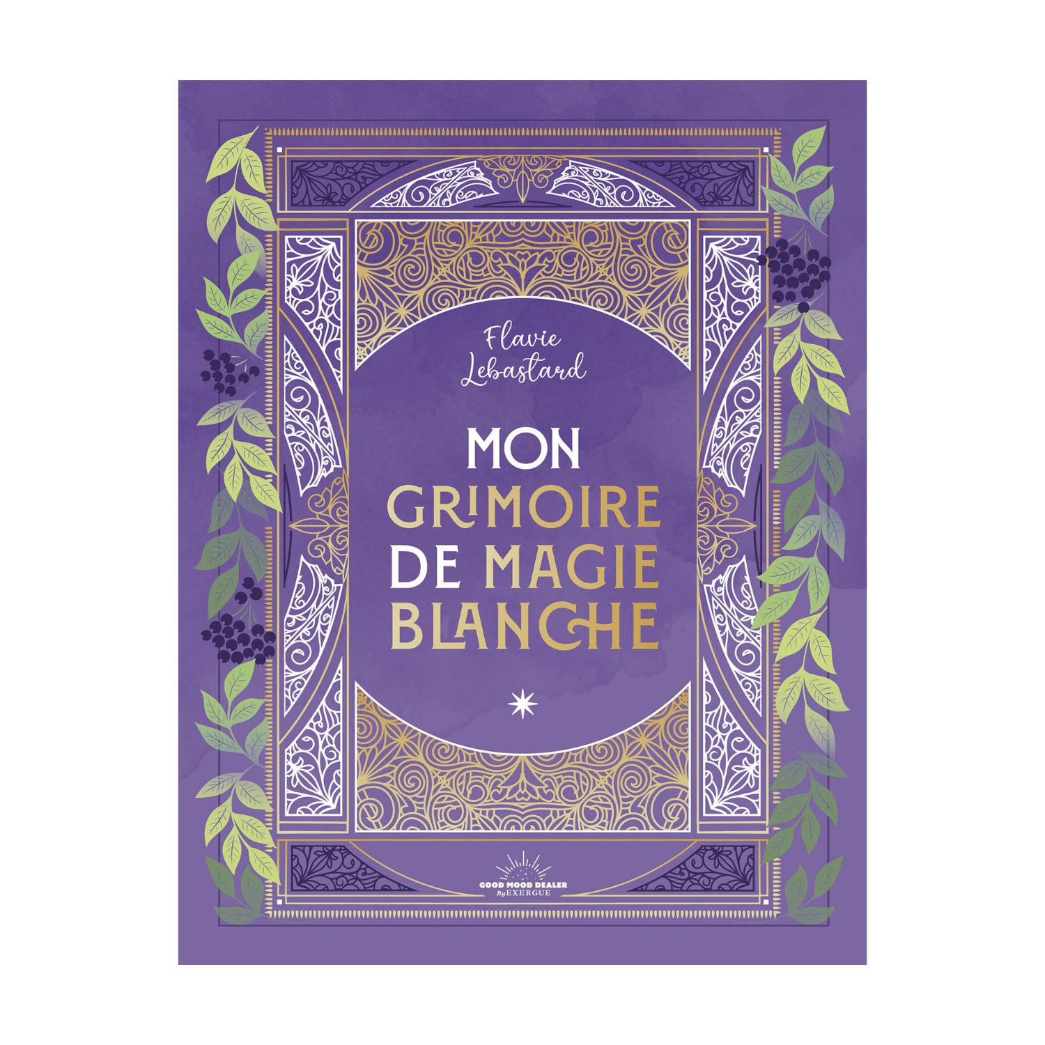 Mon grimoire de magie blanche - Livre - Flavie Lebastard