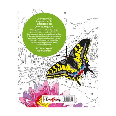 Grand livre coloriage par numéros - Zen - David Woodroffe
