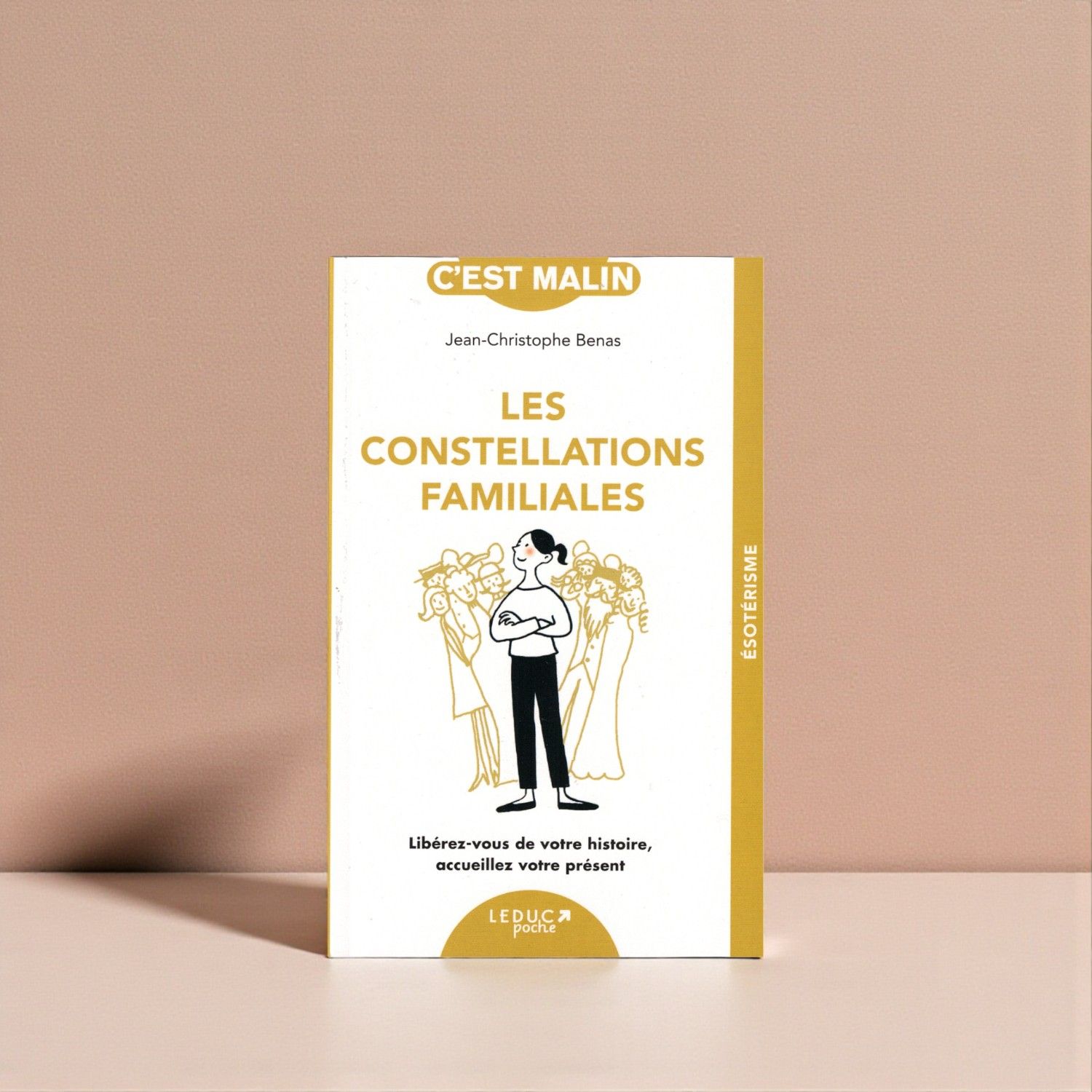 Les constellations familiales - Livre de poche - Jean-Christophe Benas