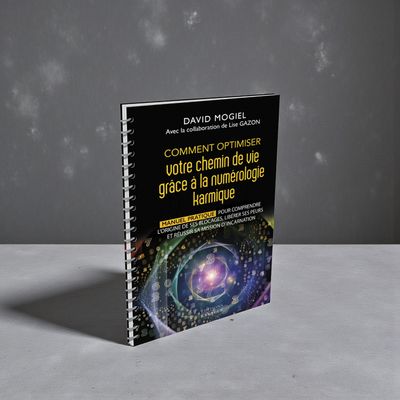 Comment optimiser votre chemin de vie grâce à la numérologie karmique - Livre - David Mogiel