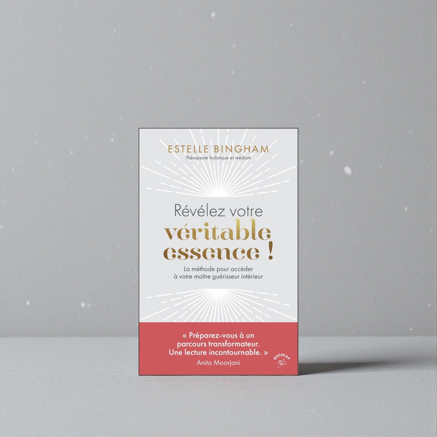 Révélez votre véritable essence ! - La méthode pour accéder à votre maître guérisseur intérieur. - Livre - Estelle Bingham 