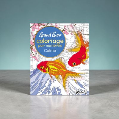 Grand livre de coloriage par numéros - Calme - Livre - David Woodroffe