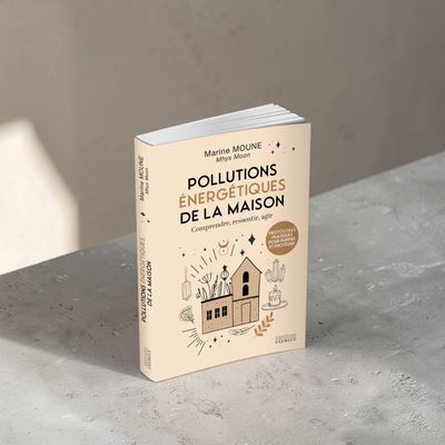 Pollutions énergétiques de la maison Pollutions énergétiques de la maison - Livre - Marine Moune