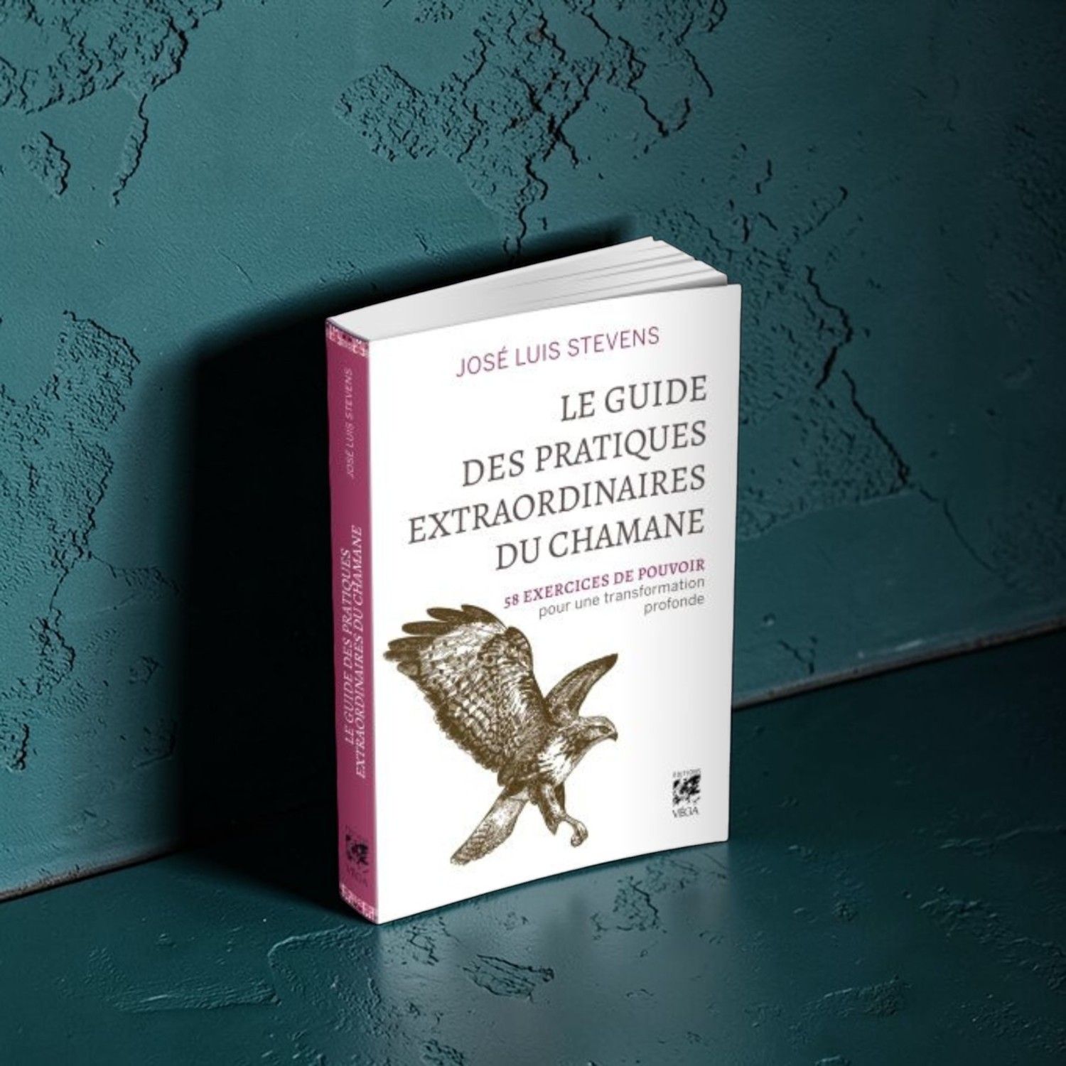 Le guide des pratiques extraordinaires du chamane - Livre - José Luis Stevens