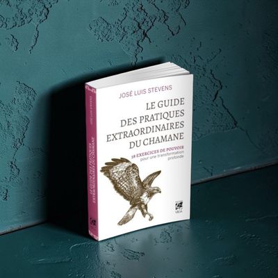 Le guide des pratiques extraordinaires du chamane - Livre - José Luis Stevens