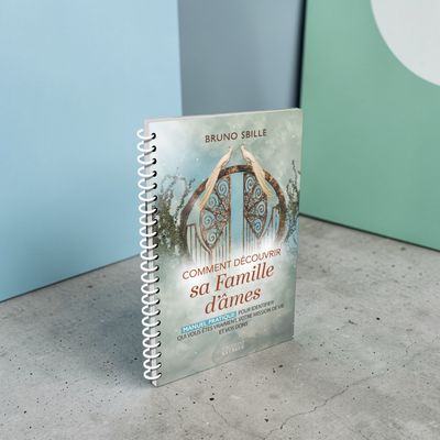 Comment découvrir sa famille d'âmes - Bruno Sbille - Livre