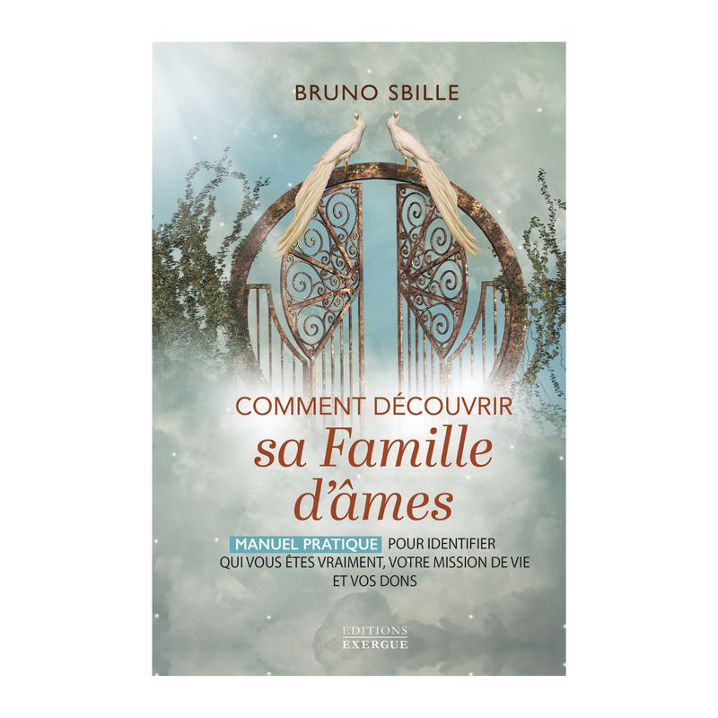 Comment découvrir sa famille d'âmes Comment découvrir sa famille d'âmes - Bruno Sbille - Livre