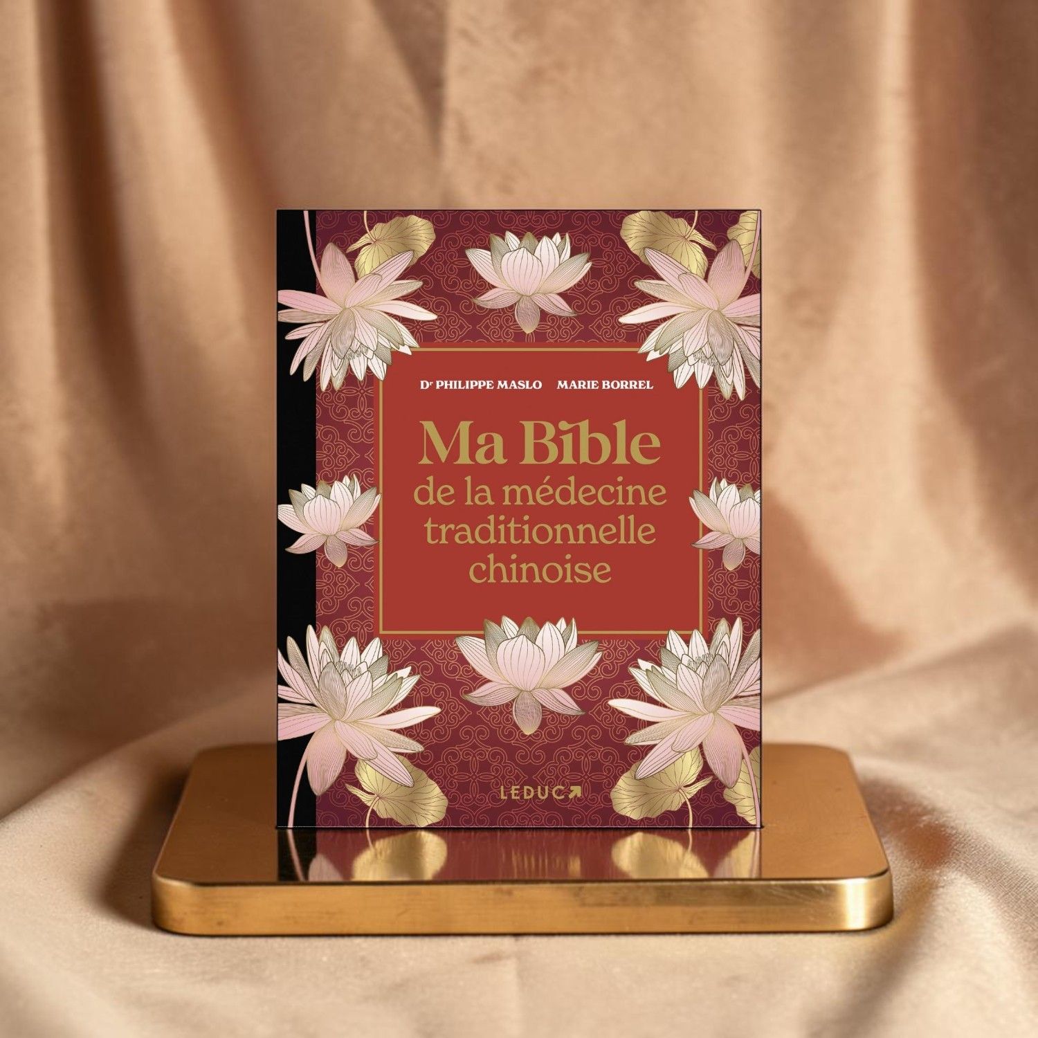 Ma bible de la médecine traditionnelle chinoise de luxe - Livre - Dr Philippe Maslo , Marie Borrel