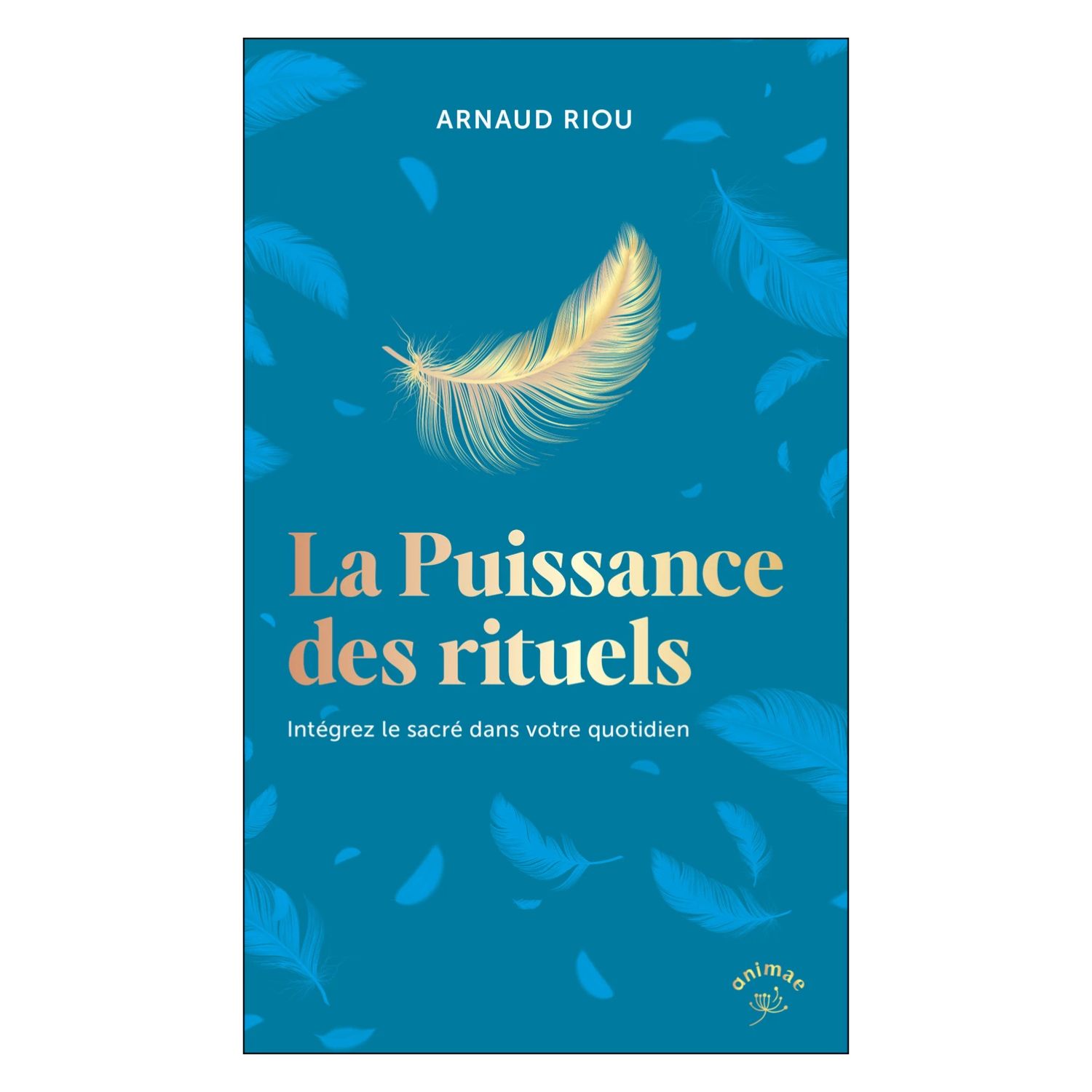 La puissances des rituels