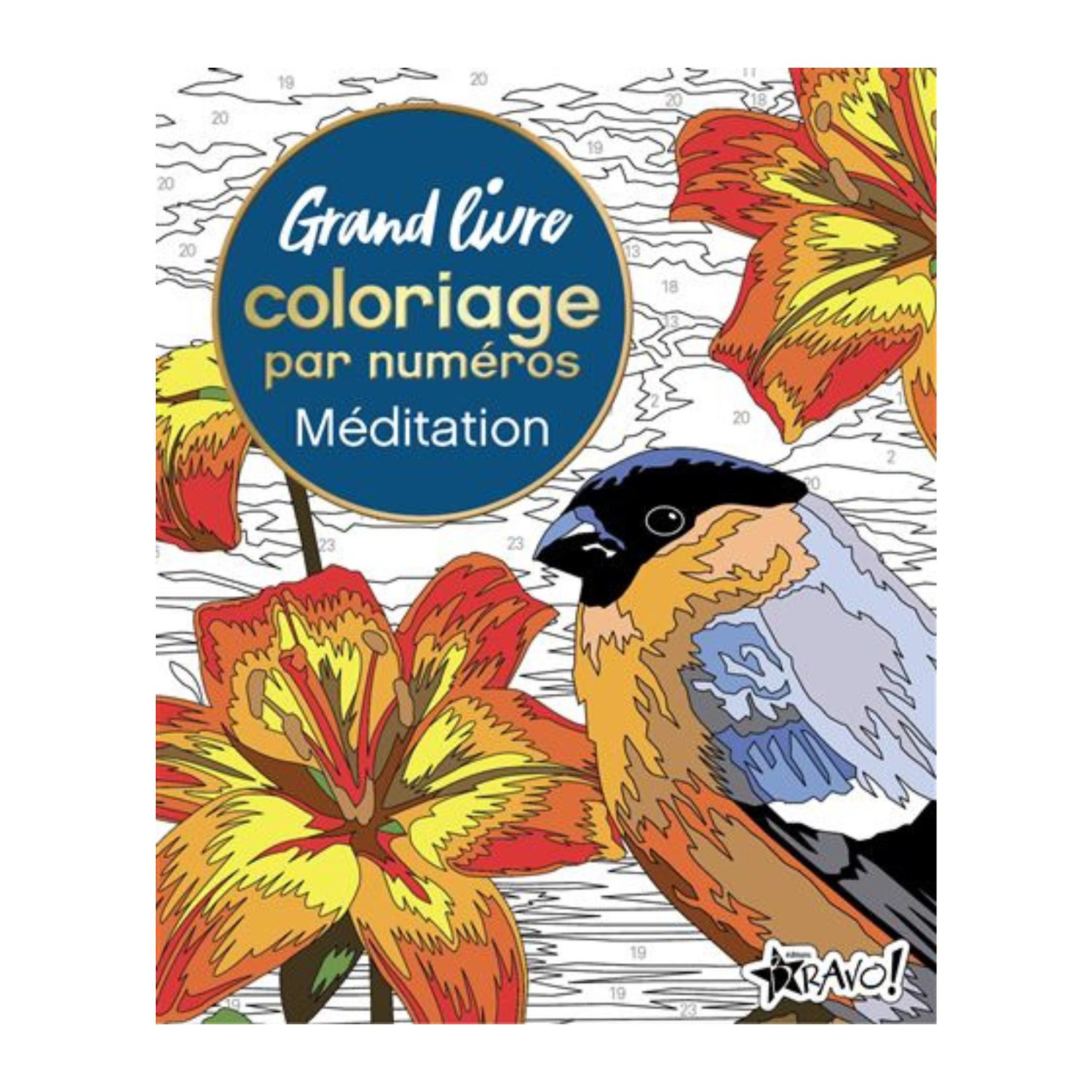 Grand livre coloriage par numéros - Méditation