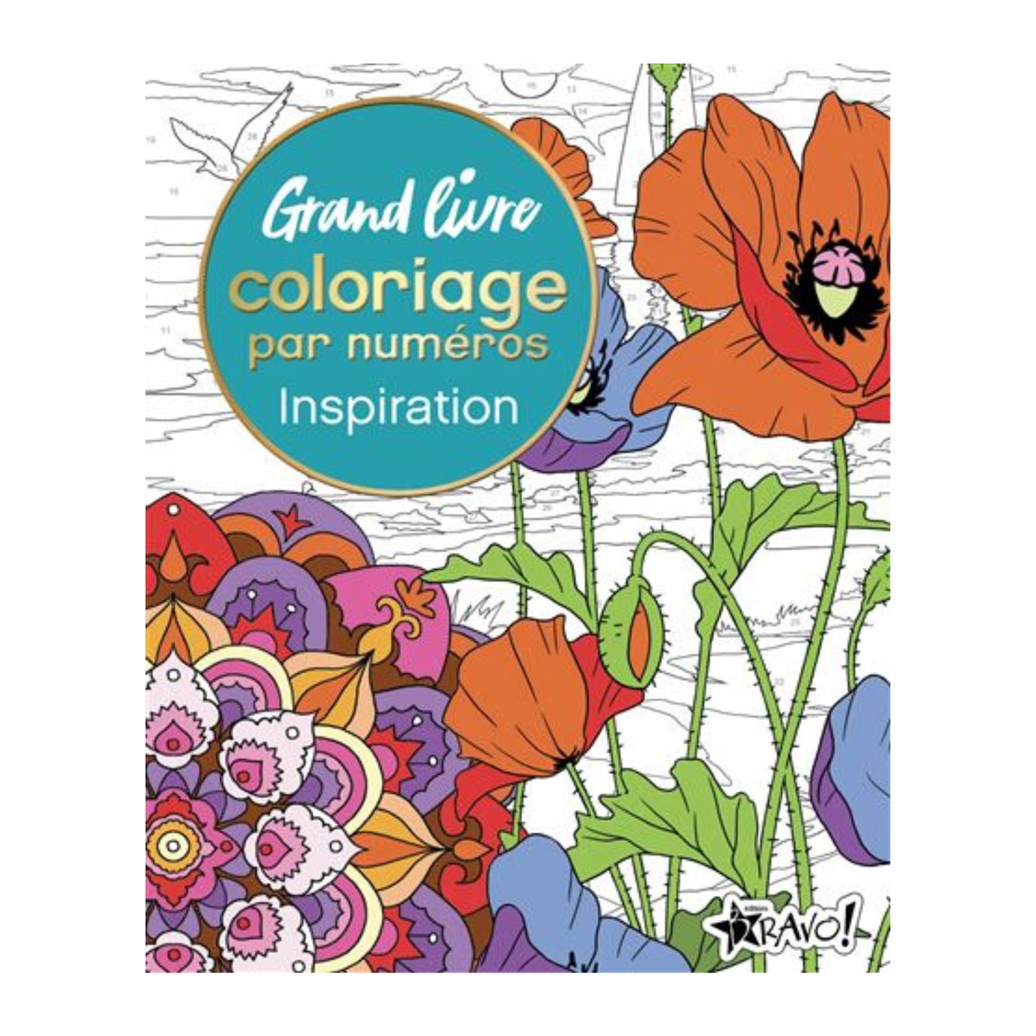 Grand livre coloriage par numéros - Inspiration - Nathalie Ortega
