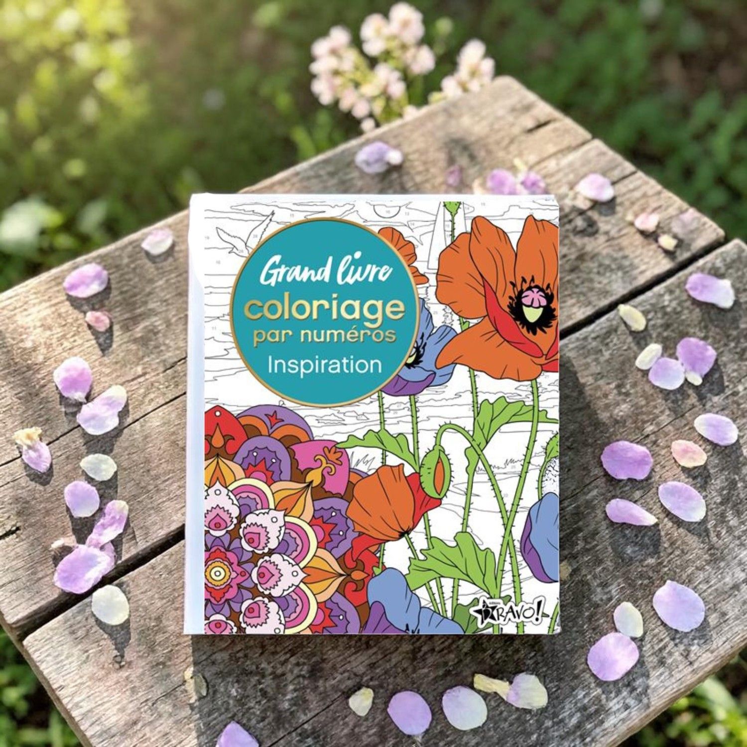 Grand livre coloriage par numéros - Inspiration - Nathalie Ortega