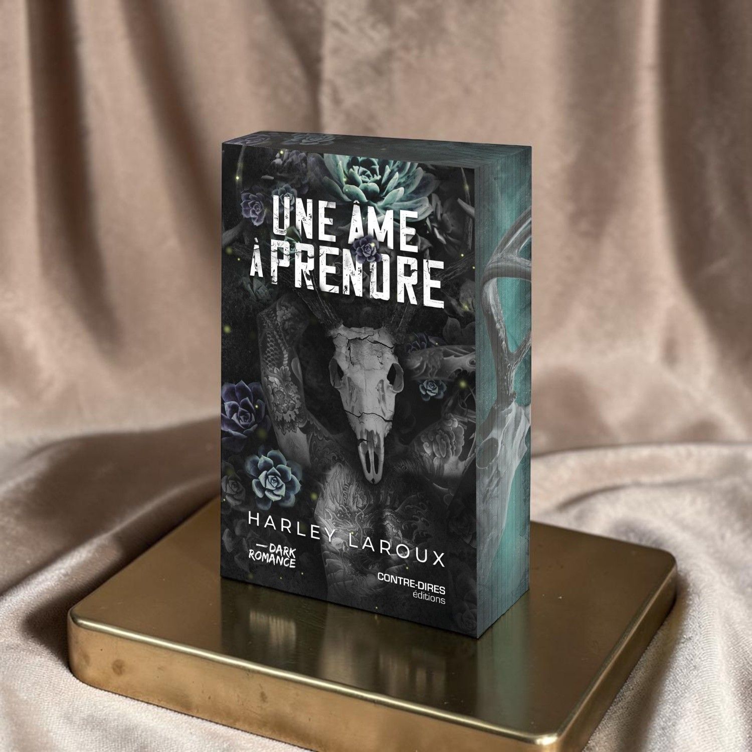 Une âme à prendre (poche) - Harley Laroux - Livre